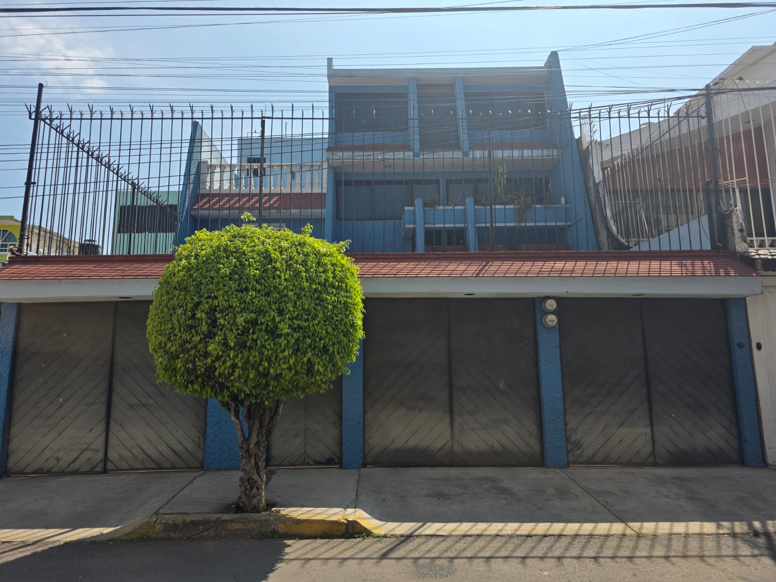 Áreas al aire libre en asilo Coyoacán